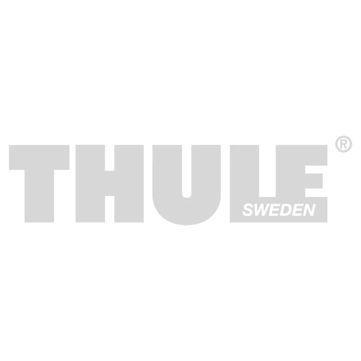 Thule bike shop rack pin