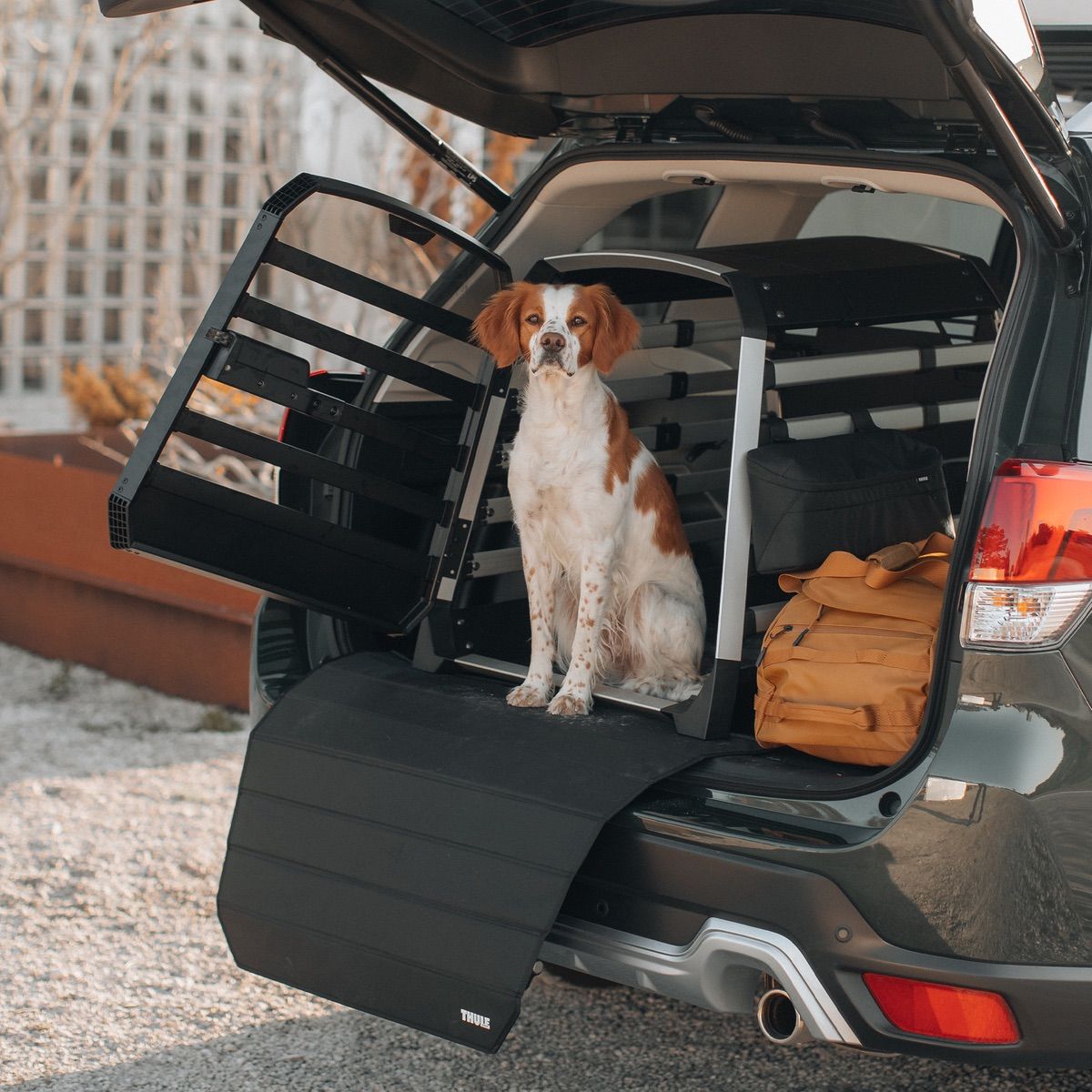 Thule Allax L Compact Dog Crate