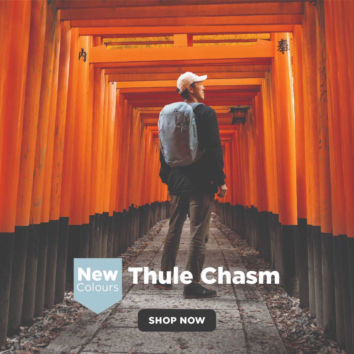 Thule NEW Chasm Collection