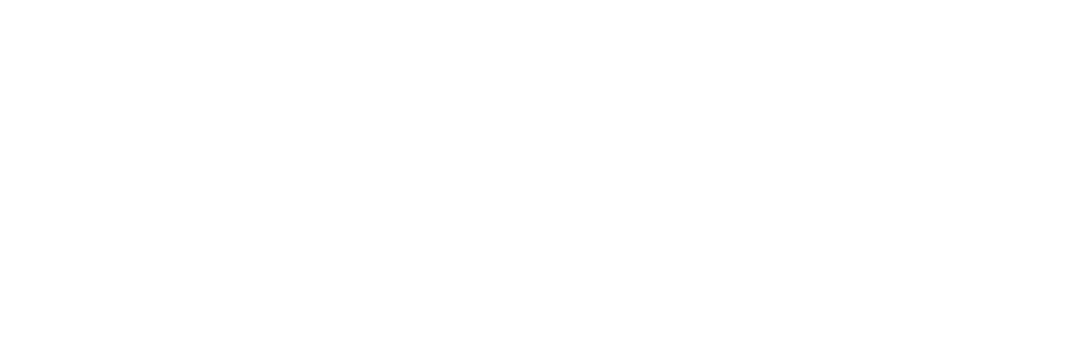 White Visa logo